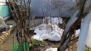 Появился маленький котёнок