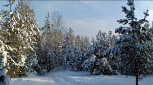 Пока с нами - Василий Евич (ст.Лариса Сперанская)