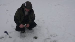 О главном. Выпуск 106