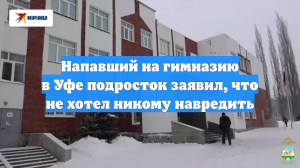 Напавший на гимназию в Уфе подросток заявил, что не хотел никому навредить