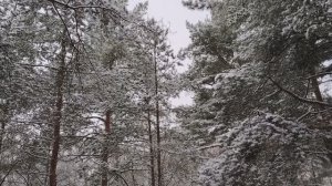 Время-деньги. Немного о финансовой грамотности