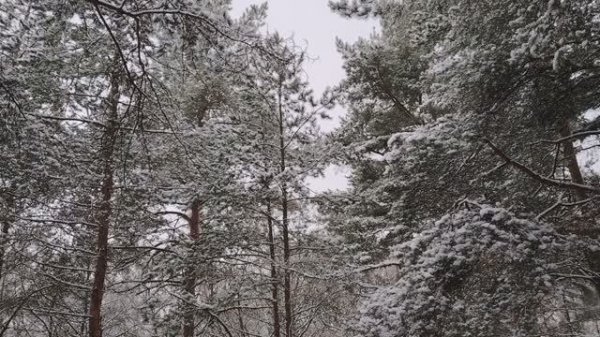 Время-деньги. Немного о финансовой грамотности