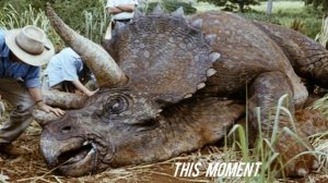 Disturbed - This Moment