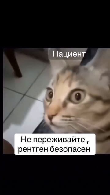 Жиза смотреть онлайн