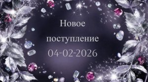 Новое поступление 4-02-2026