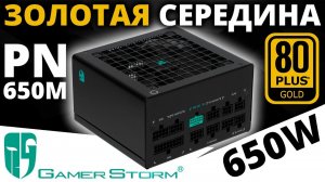 Золотая середина или блок питания GamerStorm PN650M 650W 80+ Gold (R-PN650M-FC0B-WGEU)