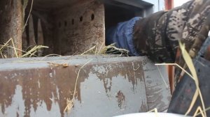 КУРЫ ЗАВАЛИЛИ ЯЙЦОМ! ЧТО Я СДЕЛАЛ!!! 03.02.2026 ГОД.