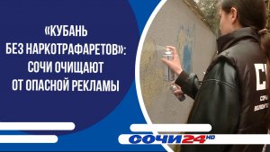 «Кубань без наркотрафаретов»: Сочи очищают от опасной рекламы