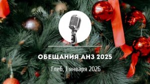 Спикерская Новогоднего марафона АНЗ «Обещания АНЗ 2025» Глеб. г. Москва 01-01-2026