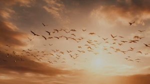 Я ожила, свободна, я лечу...