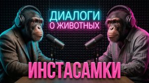 Диалоги о животных. Выпуск 4 «Инстасамки»