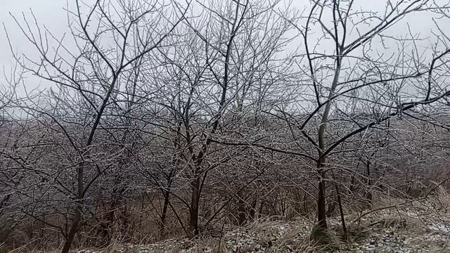 На районе необычная обледеняшка смотреть онлайн