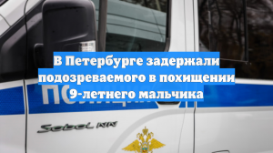 В Петербурге задержали подозреваемого в похищении 9-летнего мальчика