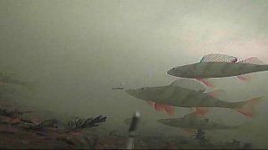 рыбалка в челябинской области