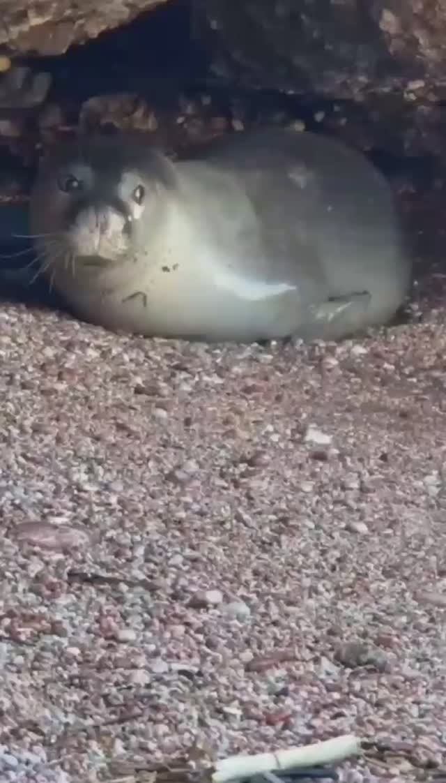 2 февраля Редкий гость. Песчаная буря. Нулевая видимость. Турция 2026.