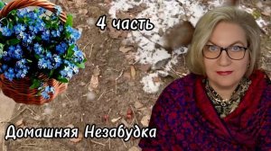 4 часть. Решение принято❗️Кроссовер для тер@боньки❗️