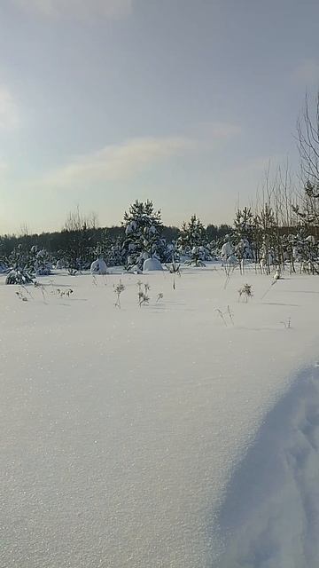 Солнечные дни☀