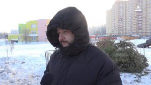 Экологическая акция. Сдай елку на переработку