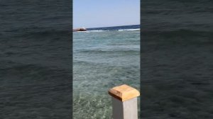 Rehana Sharm Resort Aqua Park 4* январь 2026 пляж, море, пантон, красное море