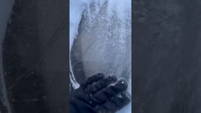 VID_20260203_221933_987
