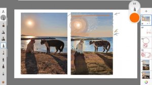 Контрсвет. Разбор с котами.