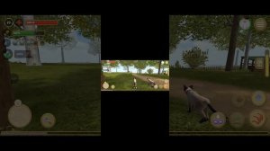 рожаю котёнка в игре симулятор кота и кошки 🐱🐈⬛🐈⬛🐈⬛🐱🐱🐱🐱🐱1 часть