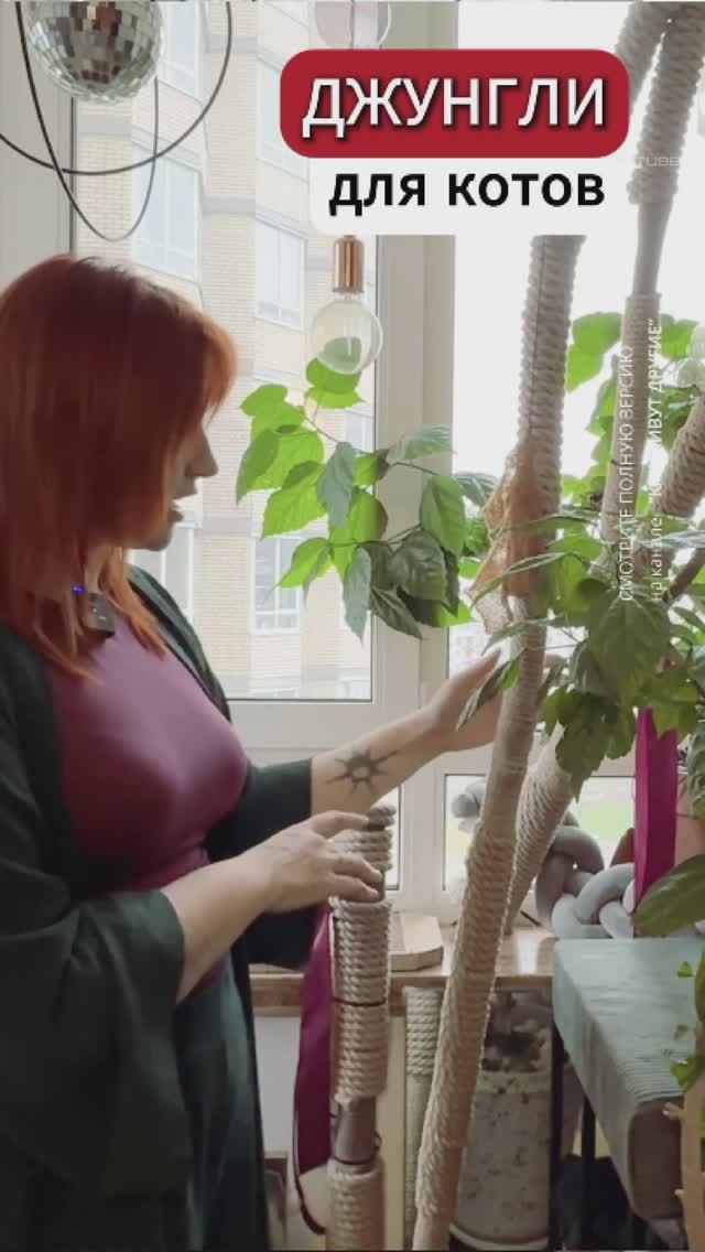 Джунгли для КОТОВ своими руками 🐈 смотреть онлайн
