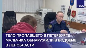 Тело пропавшего в Петербурге мальчика обнаружили в водоеме в Ленобласти