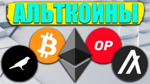 Альткоины, которые дадут иксы разбор монет: BTC / ETH / OP / ALGO / KSM