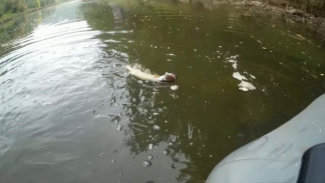 щука смотреть онлайн