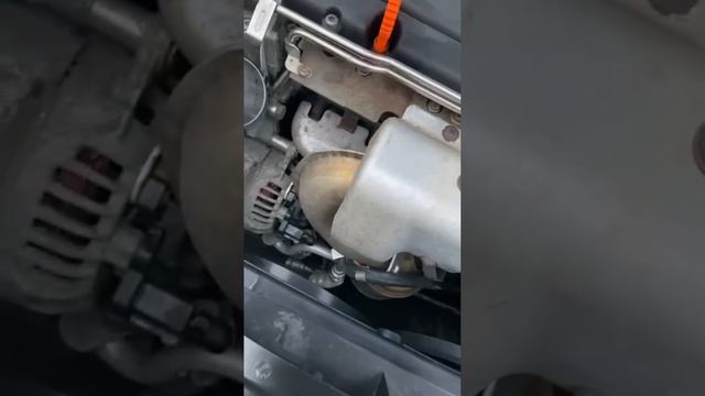 document_5192667859465047192 смотреть онлайн