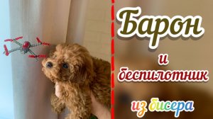 Барон и беспилотник / Сплела квадрокоптер для слежки за Бароном / Объёмное бисероплетение /