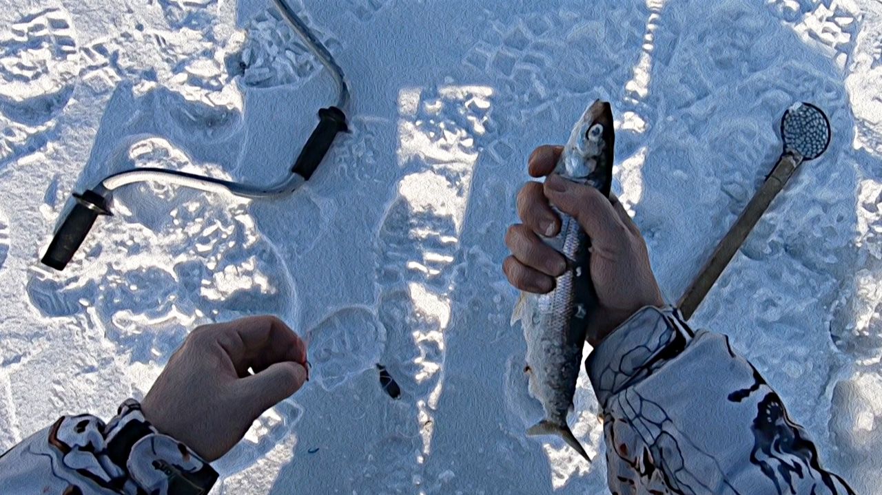 Открытие зимней рыбалки на омуля. Байкал 2026 г. смотреть онлайн