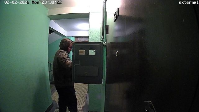 Голодная чайка ищет чем поживиться.