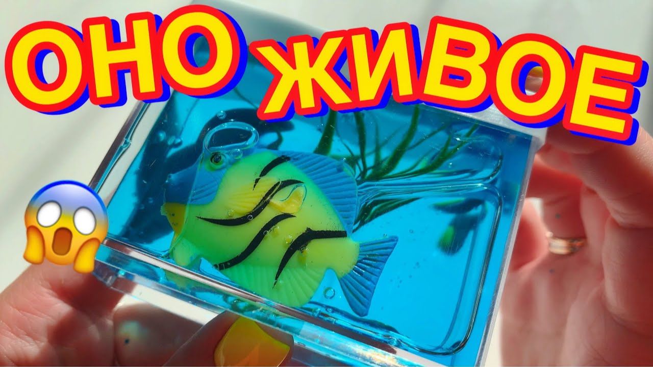 НИКОГДА НЕ ПОКУПАЙТЕ СЛАЙМЫ С РЫБКАМИ 🐠 Обзор Новинок Слаймов и Лизунов с Полок смотреть онлайн