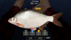 ТОЧКА НА ГУСТЕРУ ТРОФЕЙНУЮ!!!ВОЛХОВ - РУССКАЯ РЫБАЛКА 4