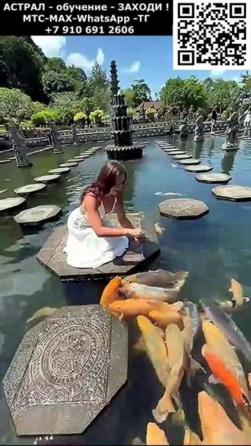 Фантастическое кормление рыб. Невероятное #невероятное #чудо #необычный #фантастика #ИИ #нейросеть смотреть онлайн