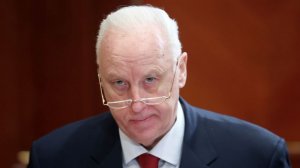 Бастрыкин затребовал доклад о конфликте с участием актрисы Артамоновой