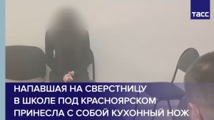 Напавшая на сверстницу в школе под Красноярском принесла с собой кухонный нож