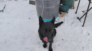 Замена амортизатора капота на Renault Duster