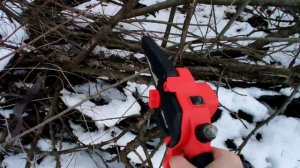 Пила аккумуляторная цепная Riclend - как пилит деревья и кустарники