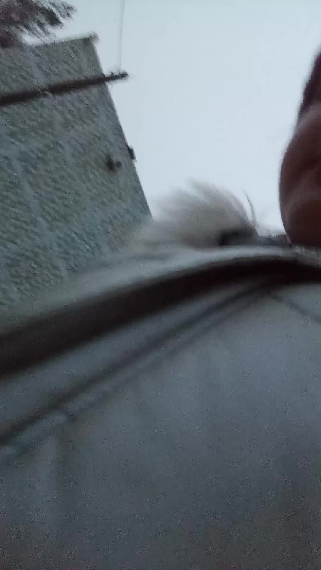 еду в школу смотреть онлайн