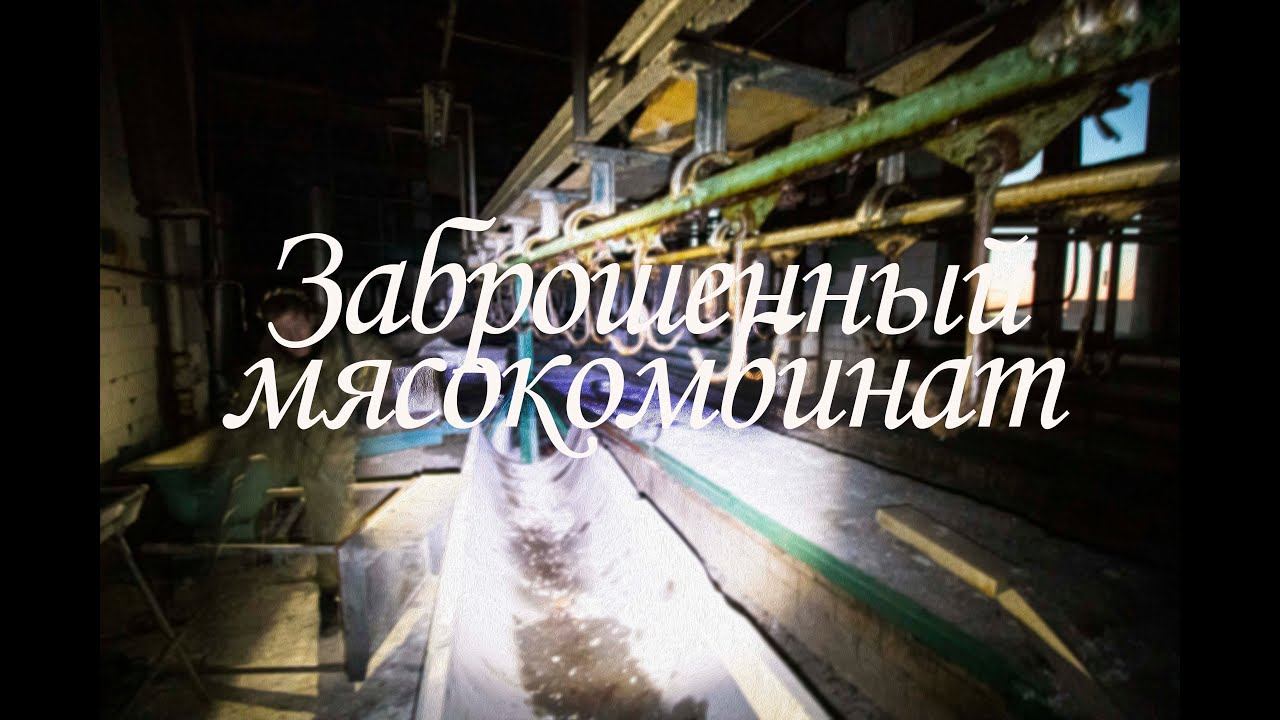 Пермский мясокомбинат, страшные находки в заброшенных помещениях