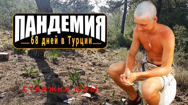 Турецкий бербер