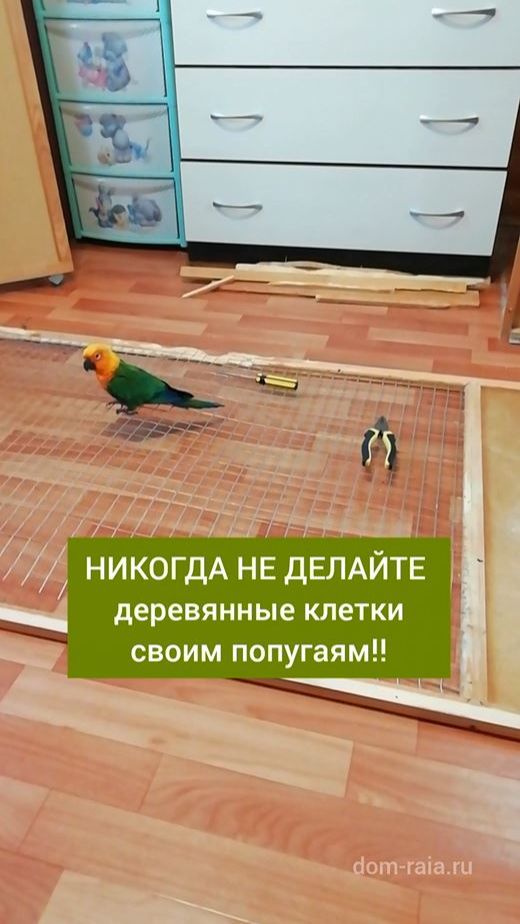 Обустройство клетки/вольера