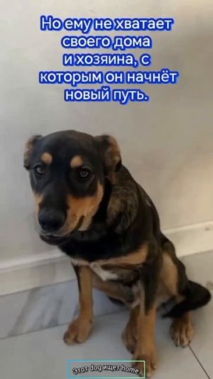 А какой ты, мой дом?