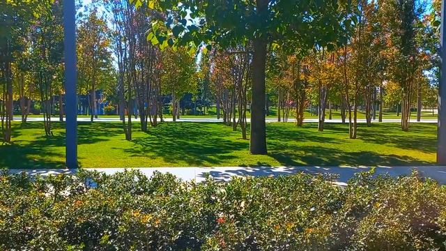 Краснодар парк Галицкого 2021 смотреть онлайн