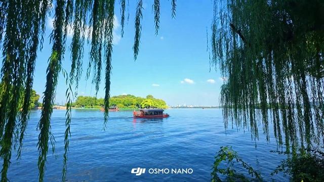 A Quiet Afternoon Worth Remembering Captured with Osmo Nano смотреть онлайн