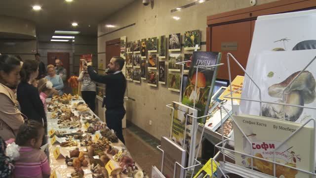 Грибной фестиваль 2018 видео анонс