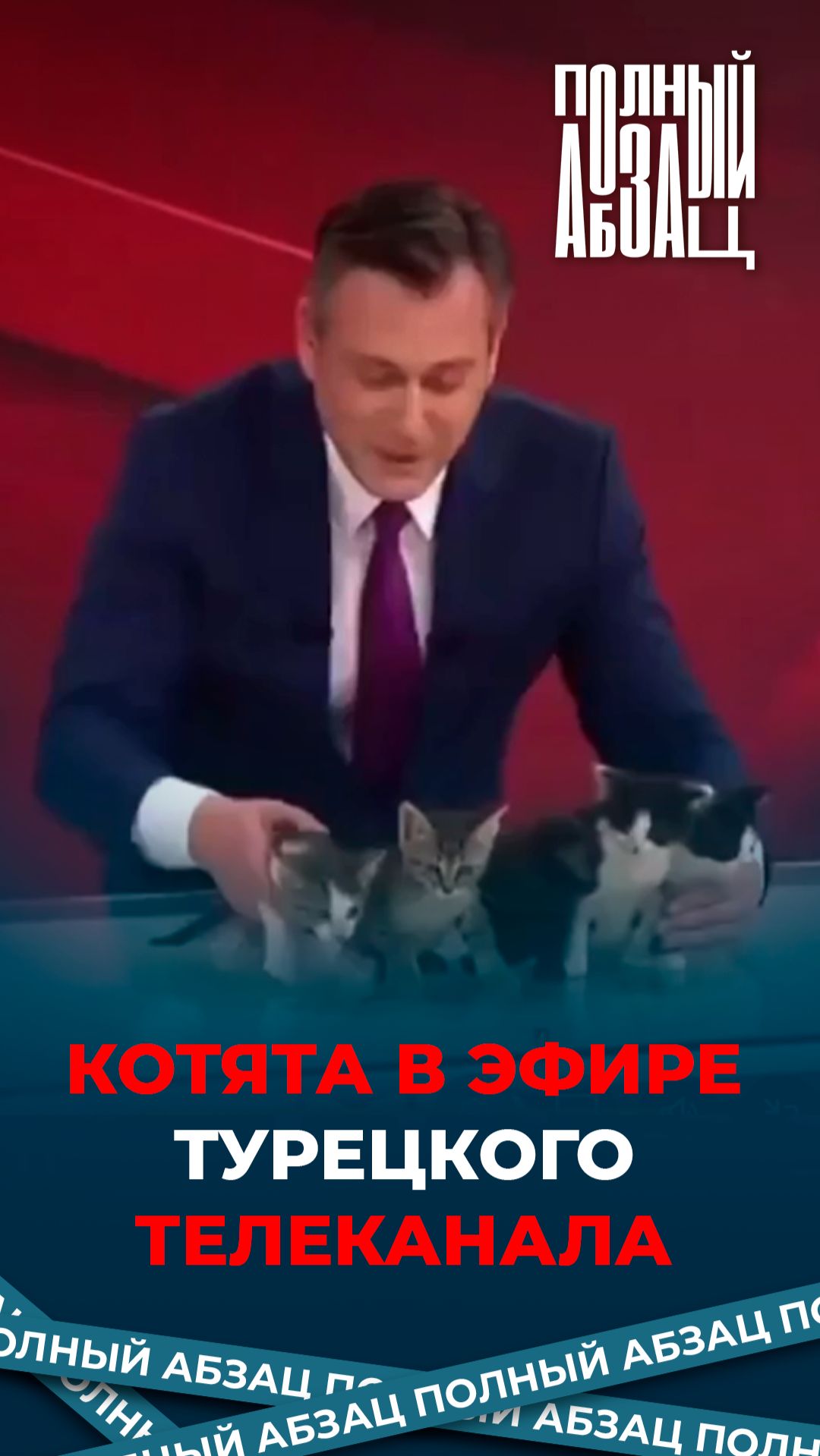 Котята в эфире турецкого телеканала смотреть онлайн